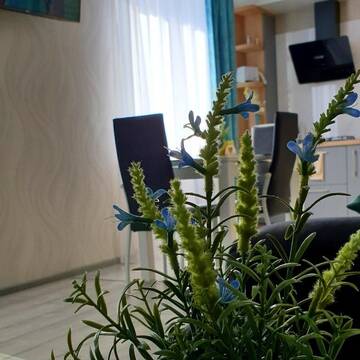 Фото номера Апартаменты-студио Апартаменты Apartstudio A&amp;I г. Барановичи 51