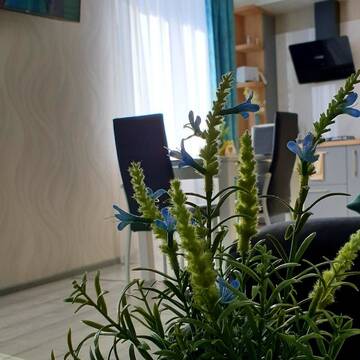 Фото номера Апартаменты-студио Апартаменты Apartstudio A&amp;I г. Барановичи 20