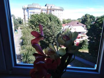 Фото номера Апартаменты с 2 спальнями Апартаменты Apartment on Lenina г. Барановичи 36