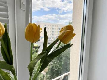 Фото номера Апартаменты с 1 спальней Апартаменты Lenin Square 1 г. Барановичи 54