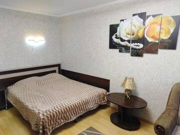 Фото номера Стандартные апартаменты Апартаменты Apartment na Lenina 8 г. Барановичи 7
